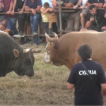 Uhapšen osnivač Telegrama: Rusi traže pristup, Snouden osudio potez Francuske