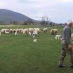 Jovo Lukić odlazi u Rumuniju: Borcu stotine hiljada evra obeštećenja