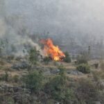 Preokret: Đoković u polufinalu Vimbldona, čeka ga Siner